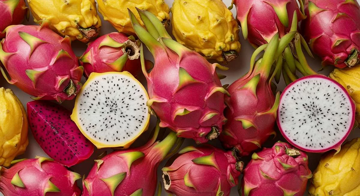 Pitaya Vermelha, Branca e Amarela: Qual é a Melhor para Você? tipos de pitaya