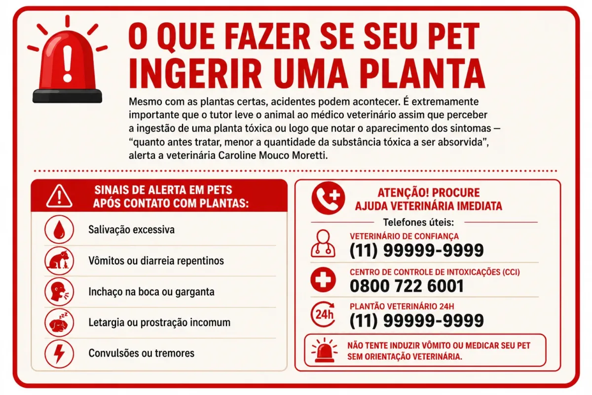 Sinais de alerta em pets após contato com plantas