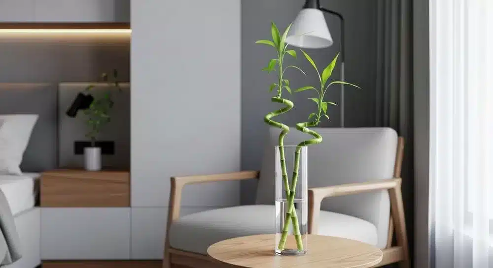 Bambu da sorte decorando apartamento pequeno moderno com outras plantas de interior