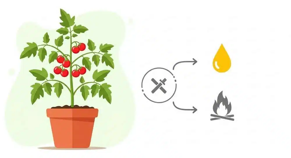 Por Que Jardineiros Estão Abandonando Fertilizantes Tradicionais