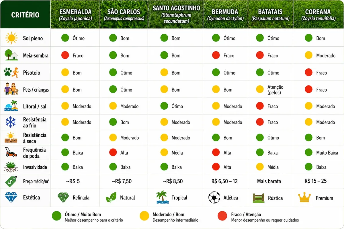infográfico das qualidades de gramas