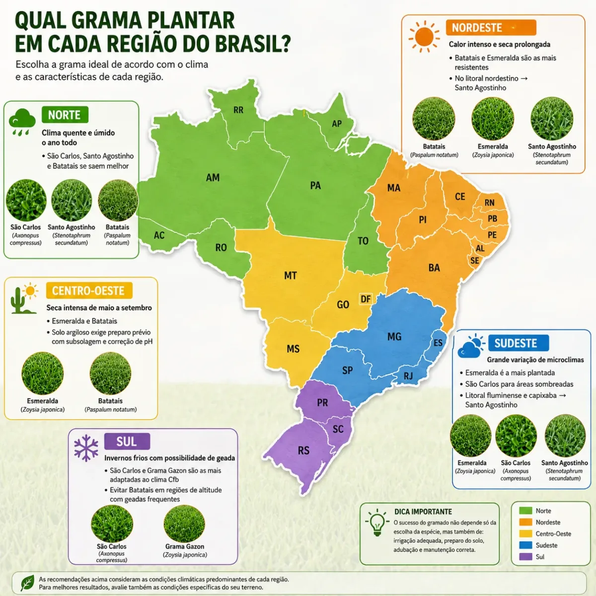 mapa do Brasil com regiões coloridas por tipo de grama recomendado
