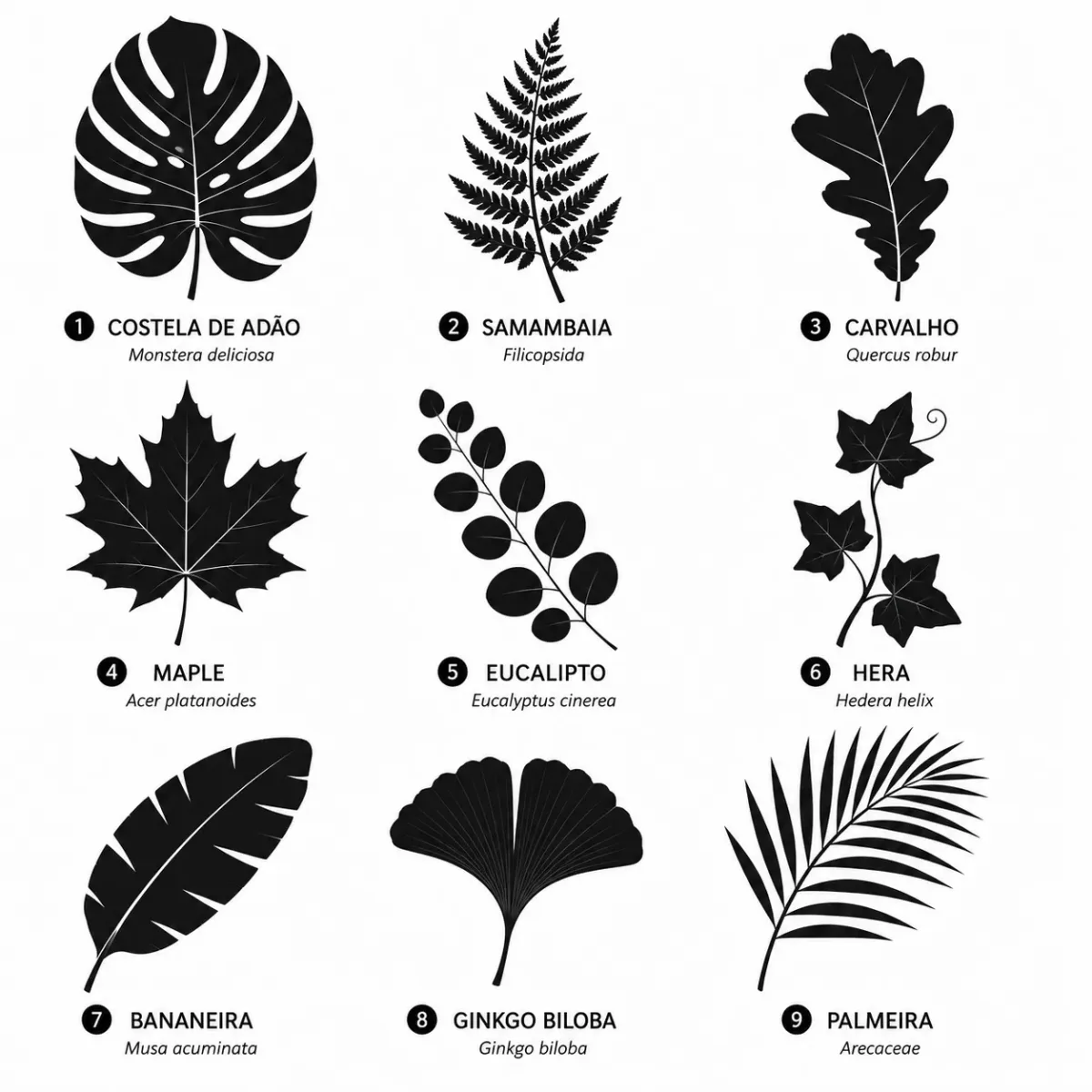 Colagem organizada com 9 tipos diferentes de folhas em preto sobre fundo branco