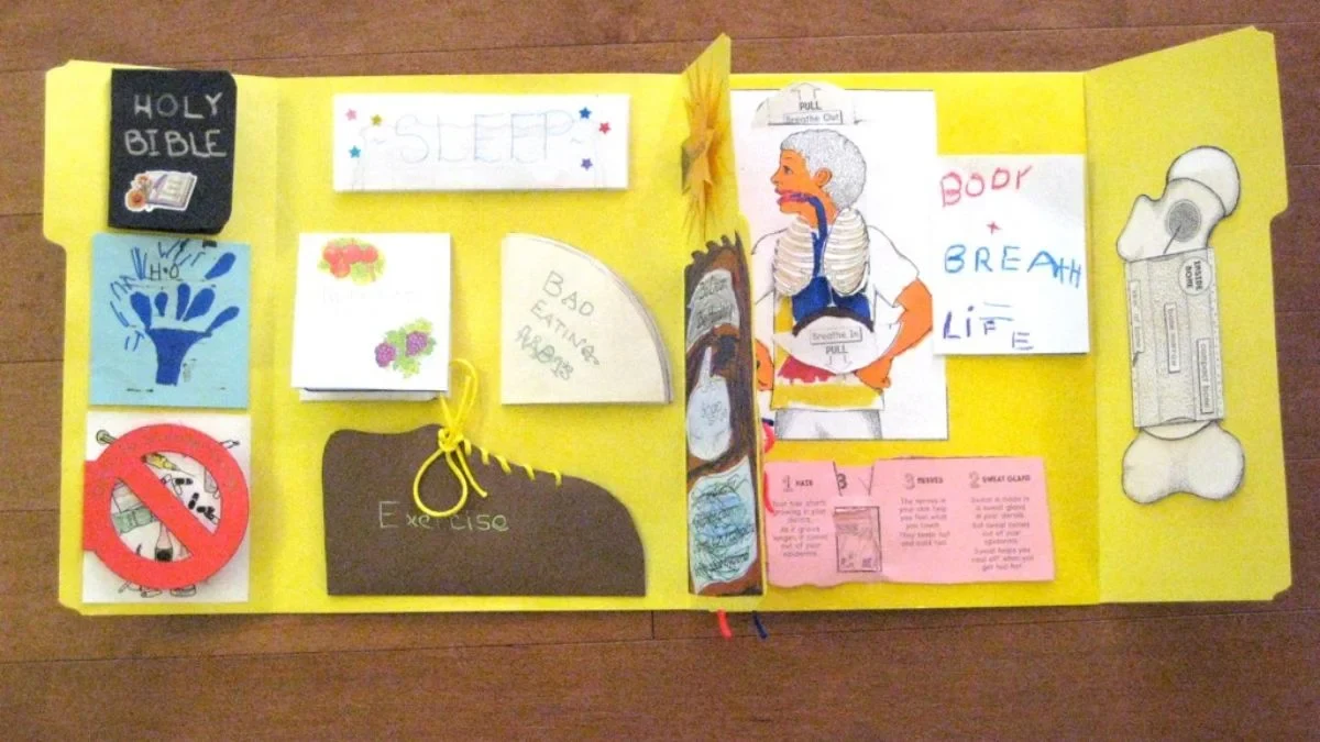 Molde de lapbook para imprimir grátis