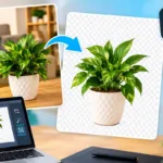 How Image Background Removal Improves Visual Content for Digital Creators